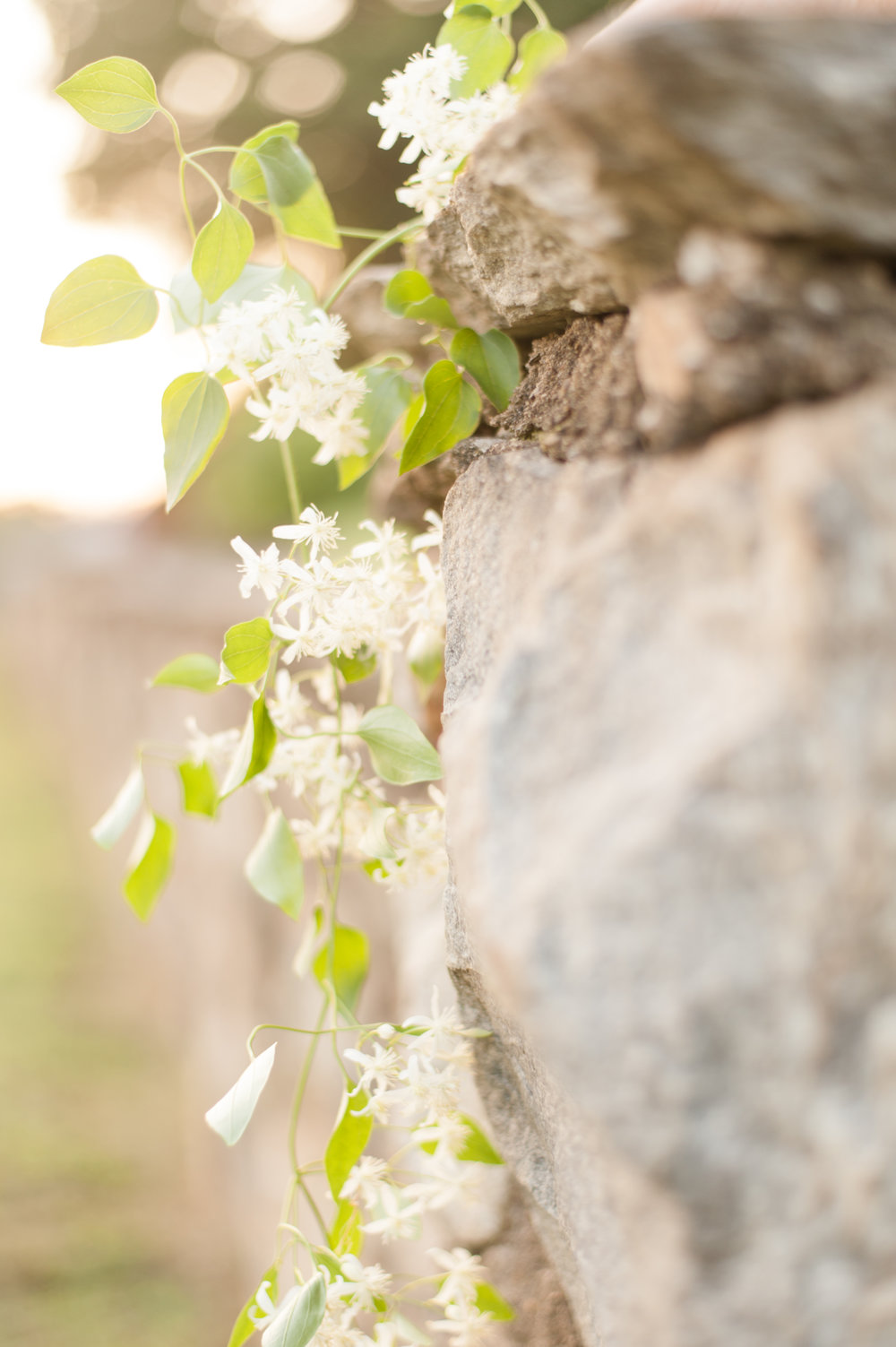 Megan and Connor  Engaged-0168.jpg