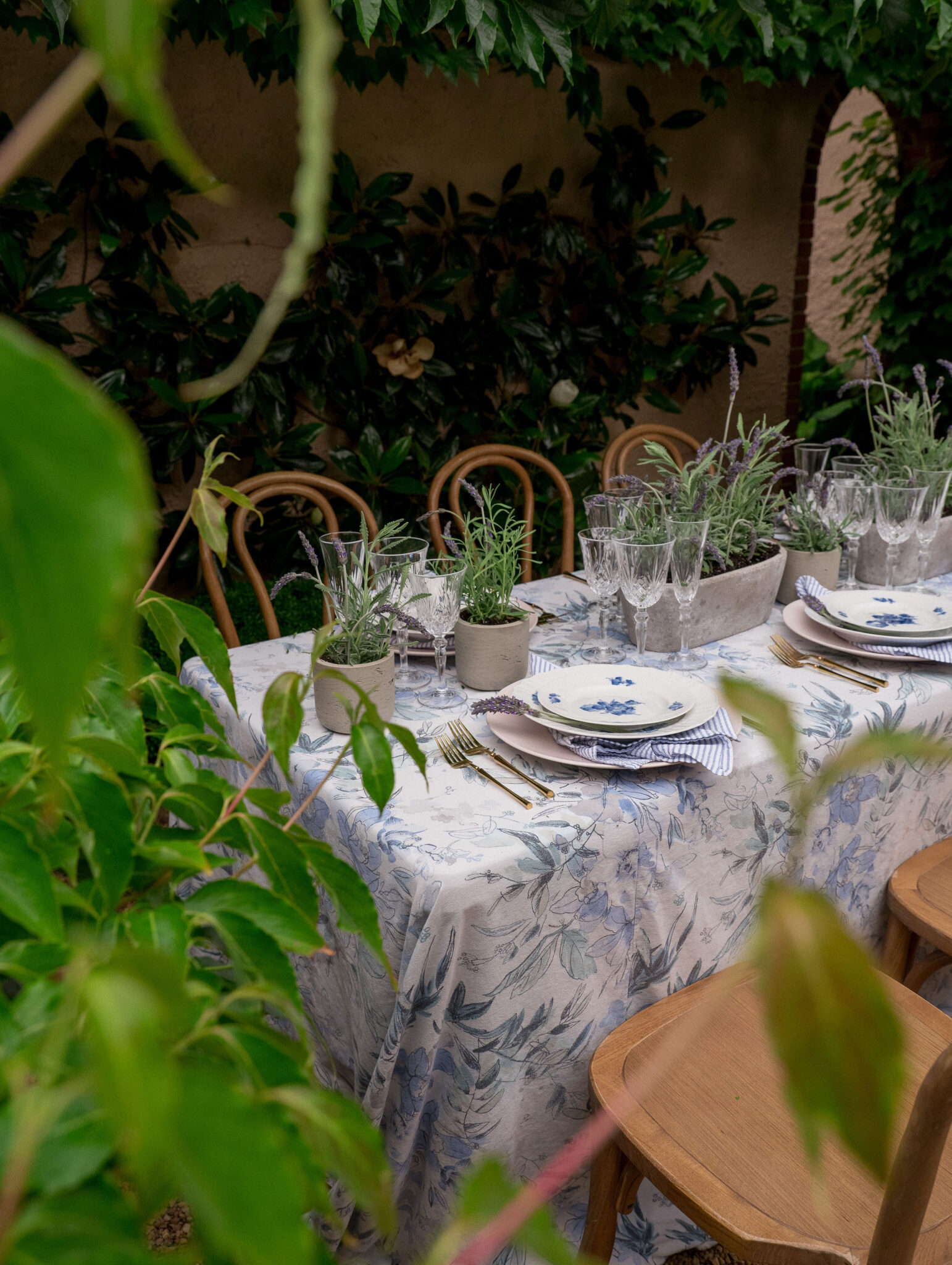 Intimate Dinner Party - French Country Side Vibes at The Red Fox Inn