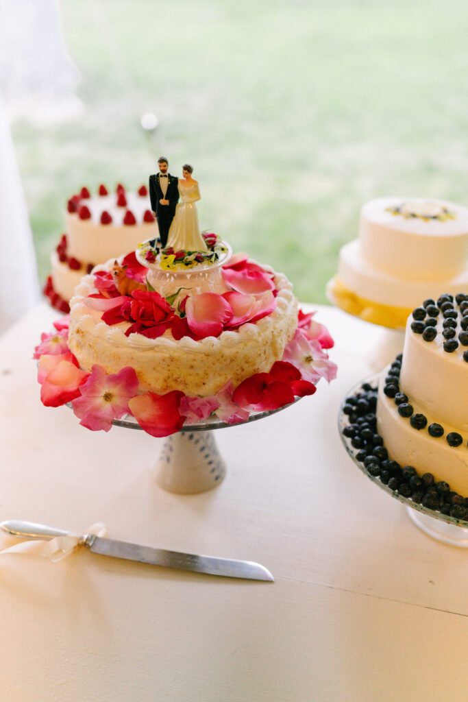 virginia wedding, private estate wedding, middleburg va wedding, wedding cakes