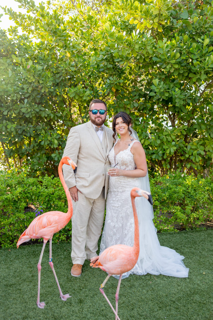 bahamas wedding, destination planner, wedding, bride and groom, cocktail hour, flamingo, bridal dress, destination wedding