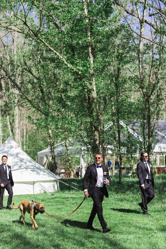 wedding, wedding design, virginia wedding, tented wedding, outdoor wedding, green and white wedding, wedding design, groom with dog