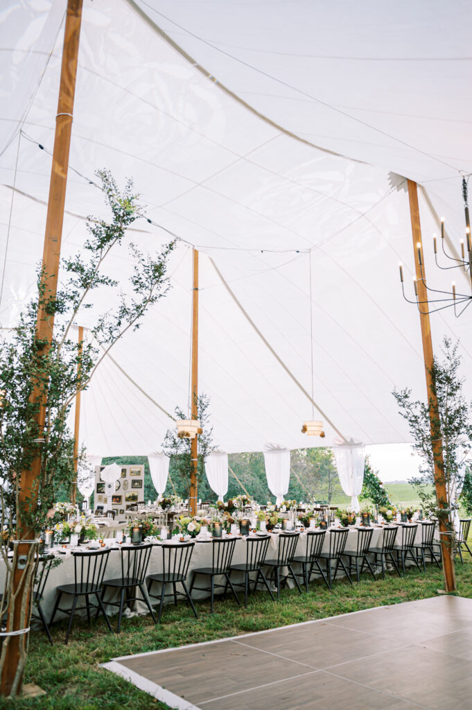 Vida Events, Top 5 Best Wedding Planner in Virginia, best wedding planner in the us, best wedding planner in virginia, best wedding planner in the dmv, best wedding planner in 2025, wezoree