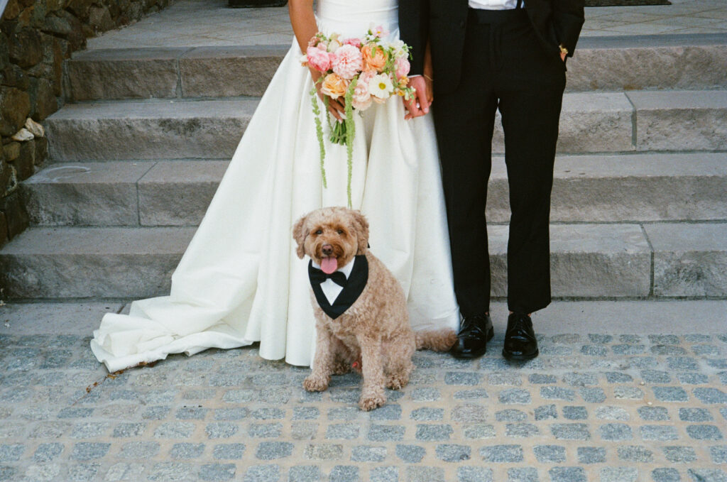 virginia wedding planner, richmond wedding venue, dover hall wedding, outdoor wedding, al fresco wedding, pastel wedding, pastel wedding flowers, bride and groom, bridal bouquet, dog in wedding